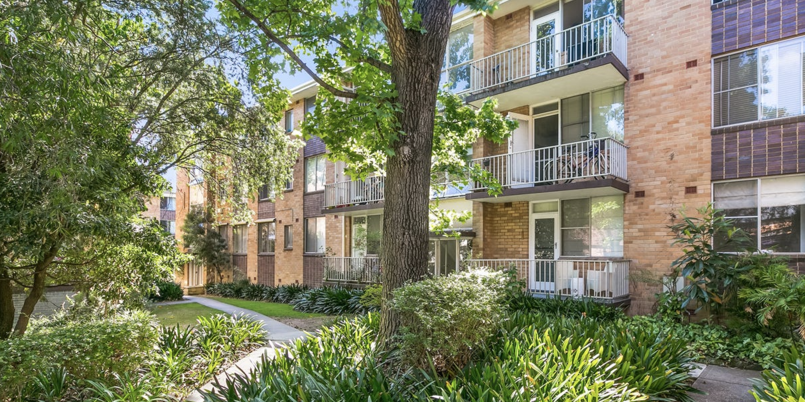 3/44-50 Ewart Street Marrickville