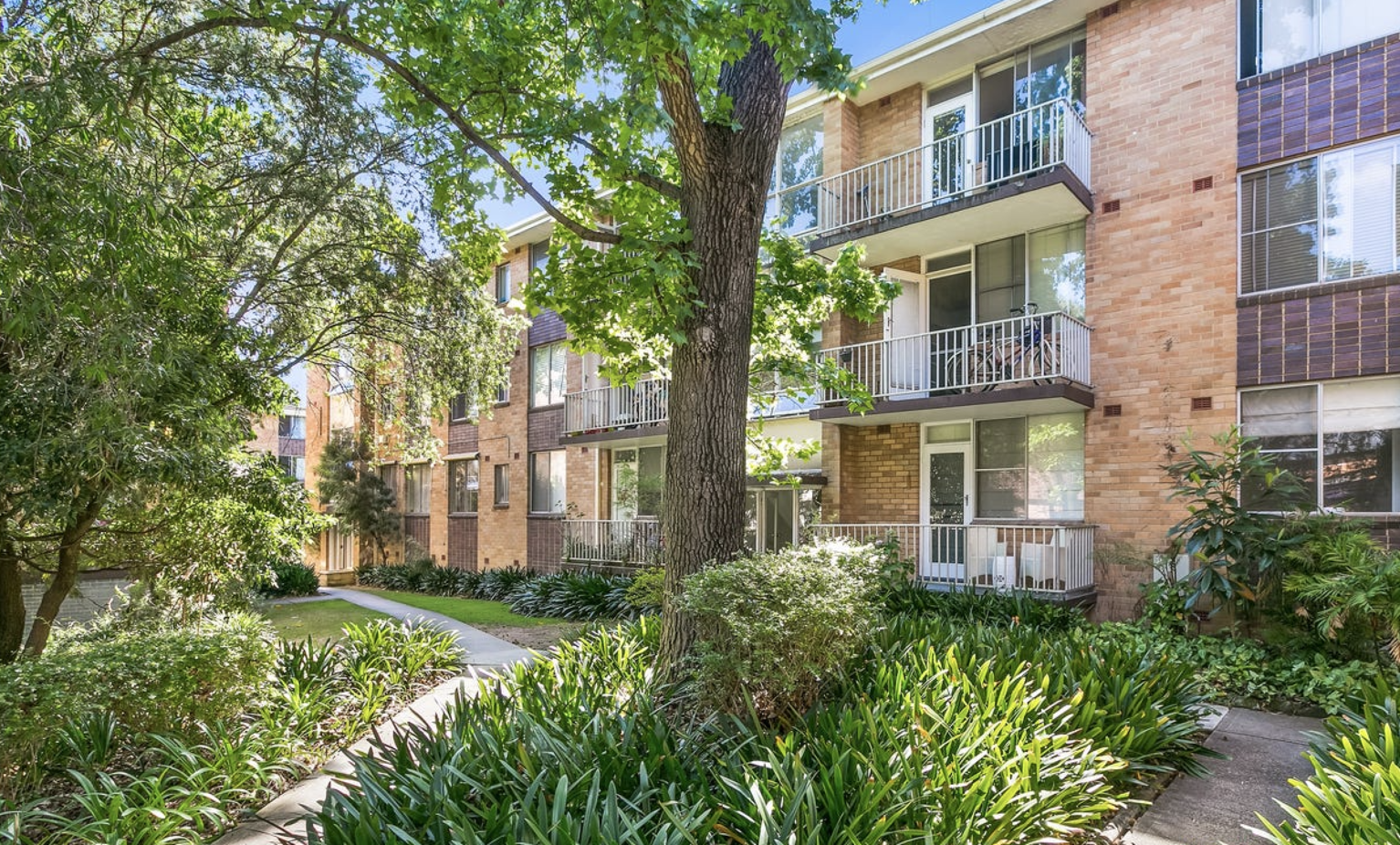 3/44-50 Ewart Street Marrickville