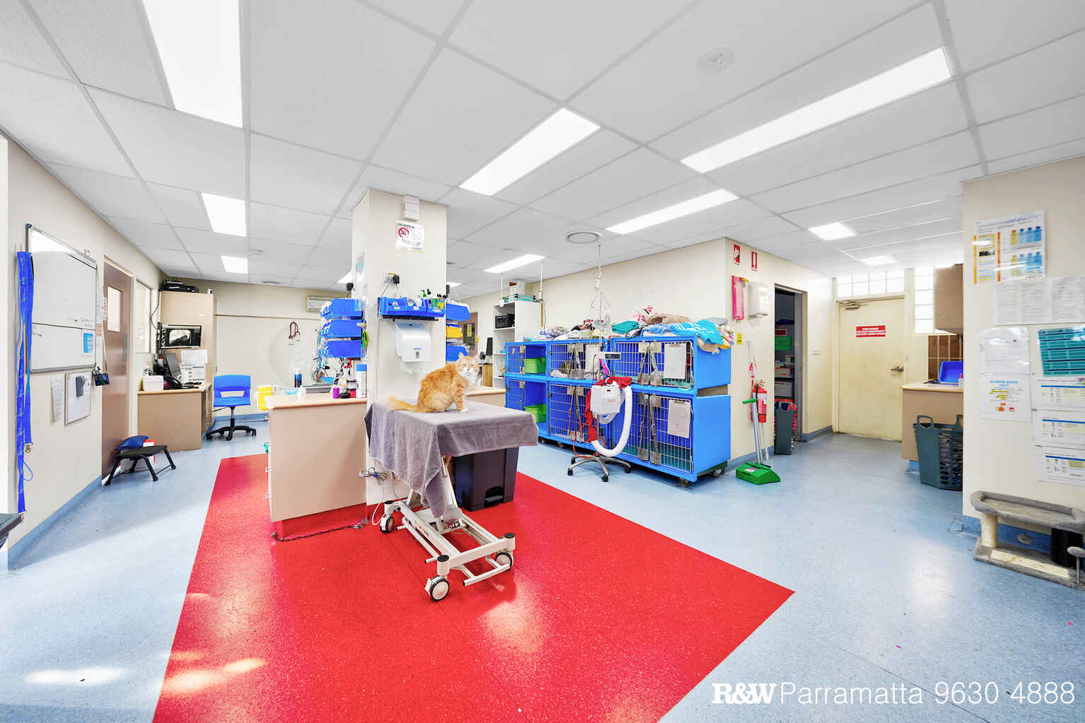  North Parramatta